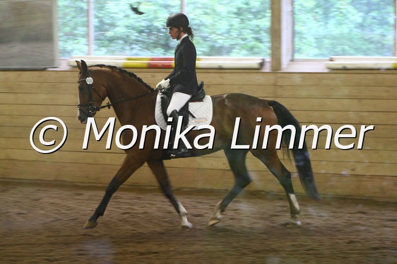 007L6733_Valencia_Dresspferde A.JPG